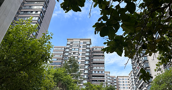 裕华区电商域名注册报价查询