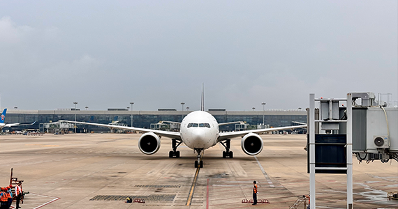 通州区电商域名注册供应商家名单查询