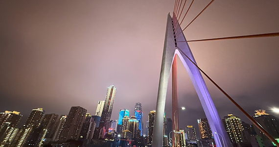 静海区电商域名注册流程图最新查询