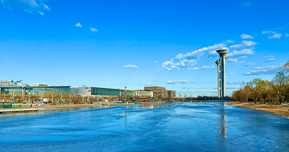 灵寿电商域名注册资格查询网