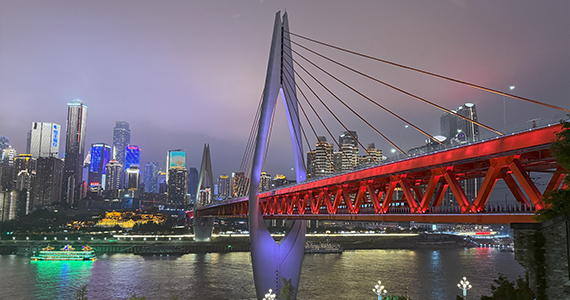 河东区电商域名注册资格查询